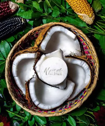 Shampoo de Coco